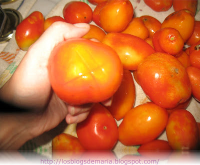 Conserva de tomates
