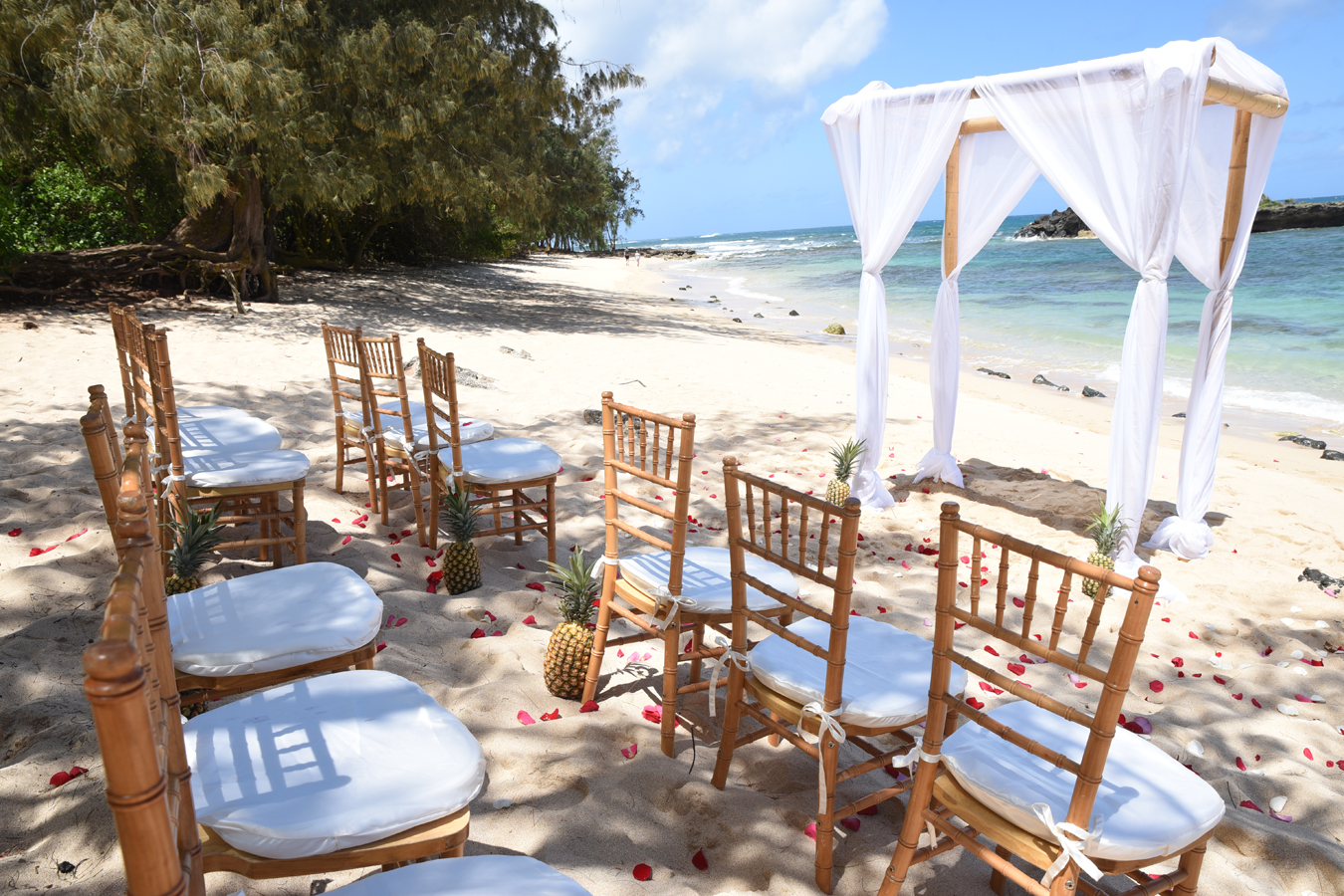 North Shore Wedding North Shore Arch & Chairs