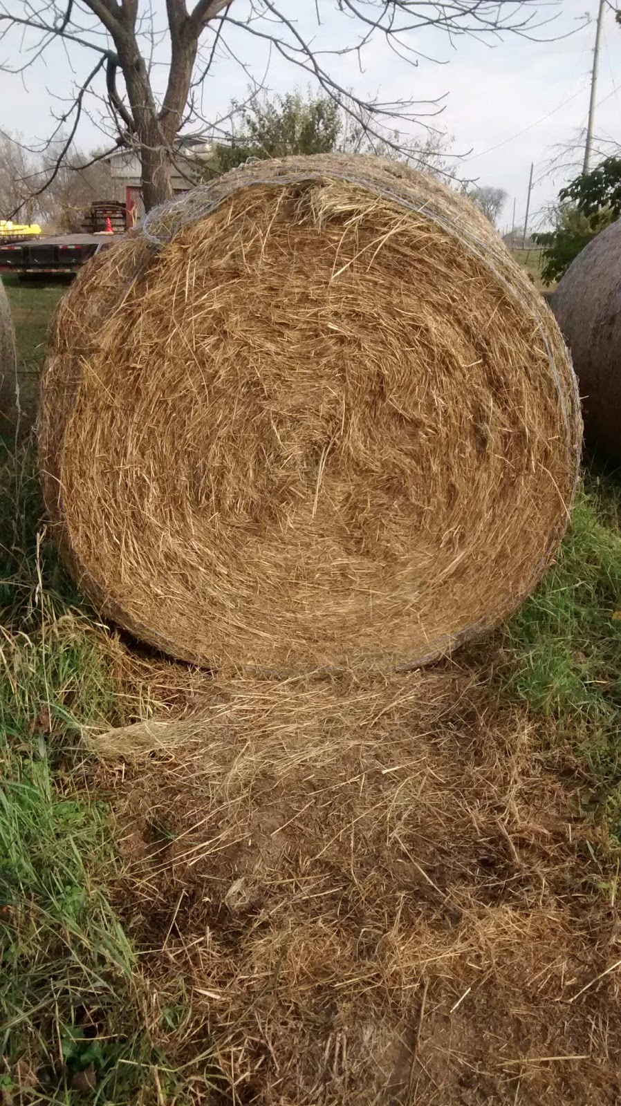 White House Farms Netwrapped Mixed Grass Hay