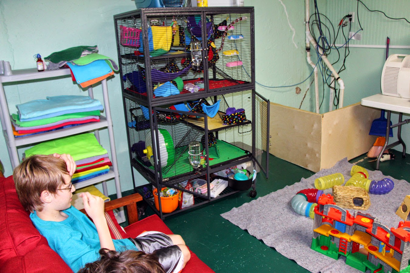 Ratropolis The Rat Room A Room Just For Rats!