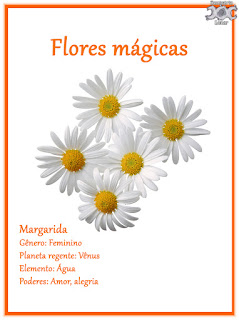 Flores mágicas: Margarida