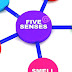 Sense - The Five Human Senses
