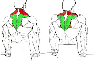 Encogimiento de hombros con barra - MIGUELWORKFIT