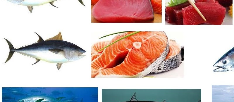 Manfaat Ikan Tuna untuk Kesehatan tubuh Secara Alami