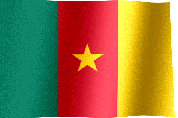 Waving Flag of Cameroon (Animated Gif)