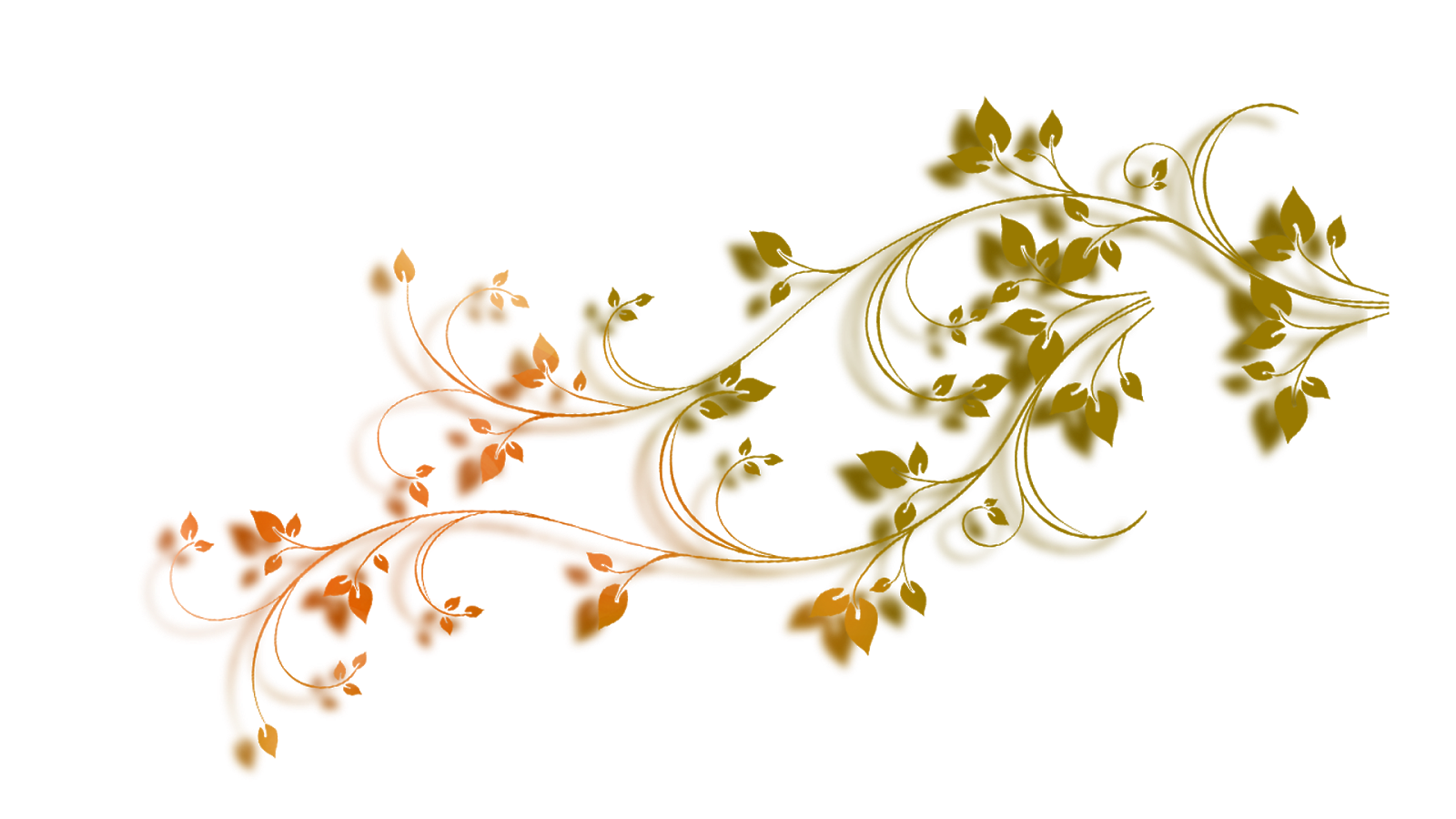 Top 20 Best Hd Graphic Designe Png Free Download True Love Wishes