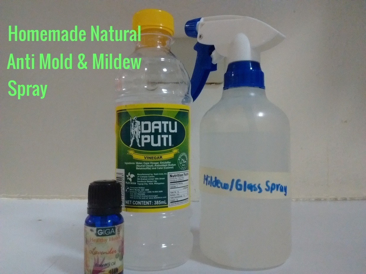 Homemade Natural Anti Mold And Mildew Spray Hello Green Beauty Homemade Natural Anti Mold And Mildew Spray