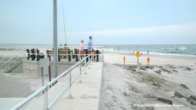 Best Place for Dolphin Watching in Wildwood New Jersey