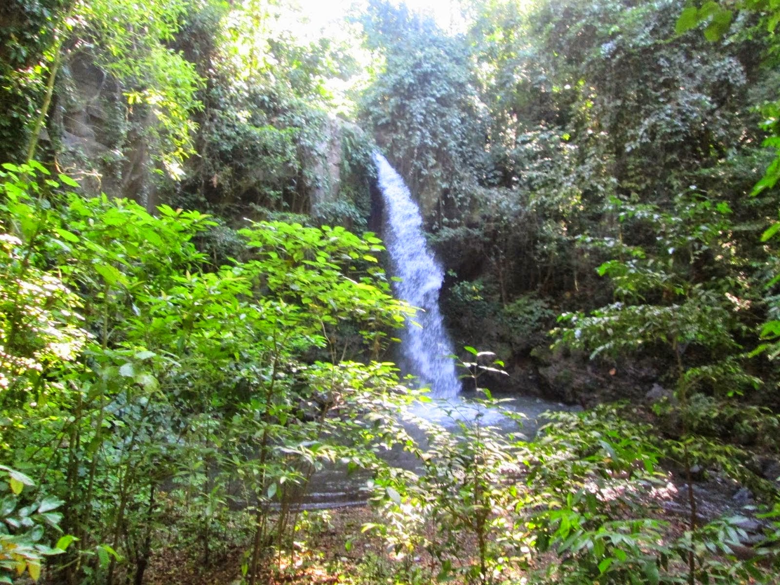 Wisata Banyuwangi Air terjun Selogiri ~ Ganang Alfianto