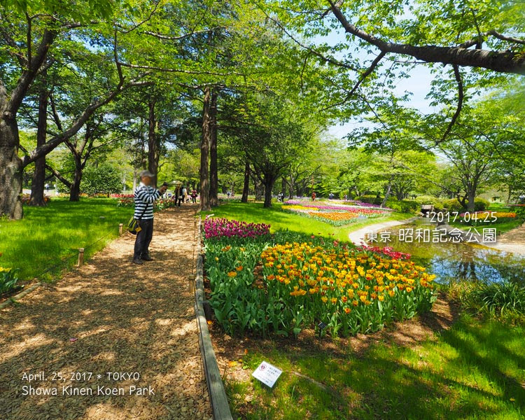 昭和記念公園の渓流広場