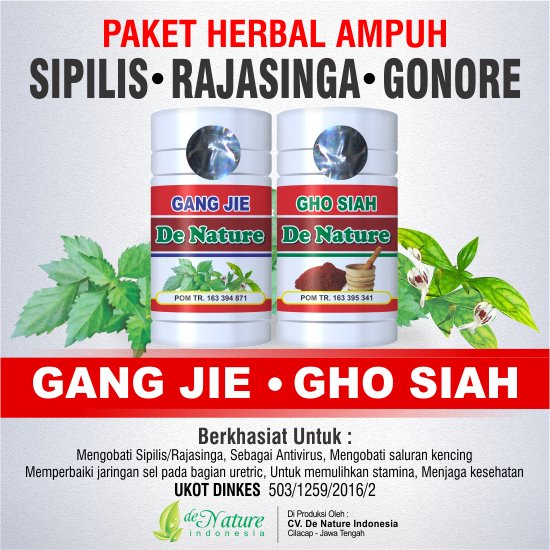 cara herbal mengobati sipilis