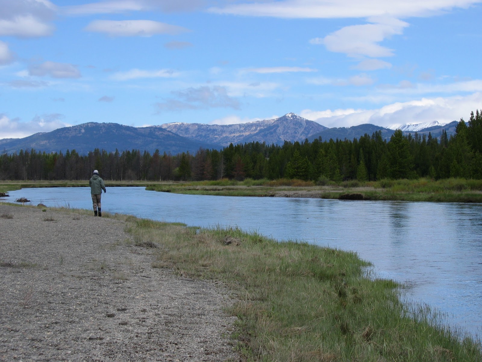 Wild River Angler Twin Bridges, MT