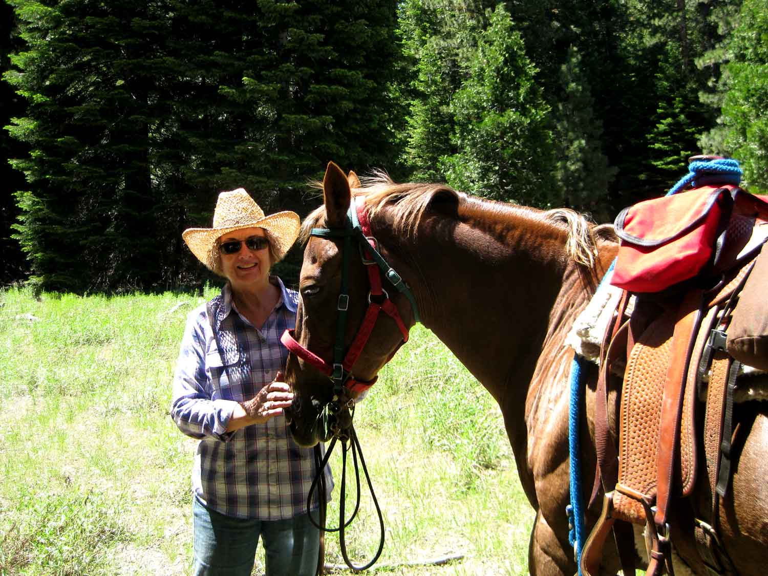 Kissack Adventures Clarks Fork Horse Camping .. Day Two!