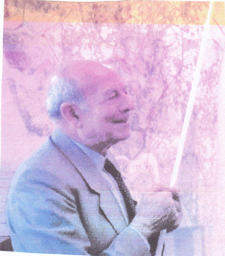 Viver Alvalade A PONTE DOS ARCOS