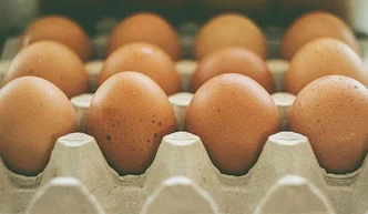 cheap-protein-eggs-buildmusclegym