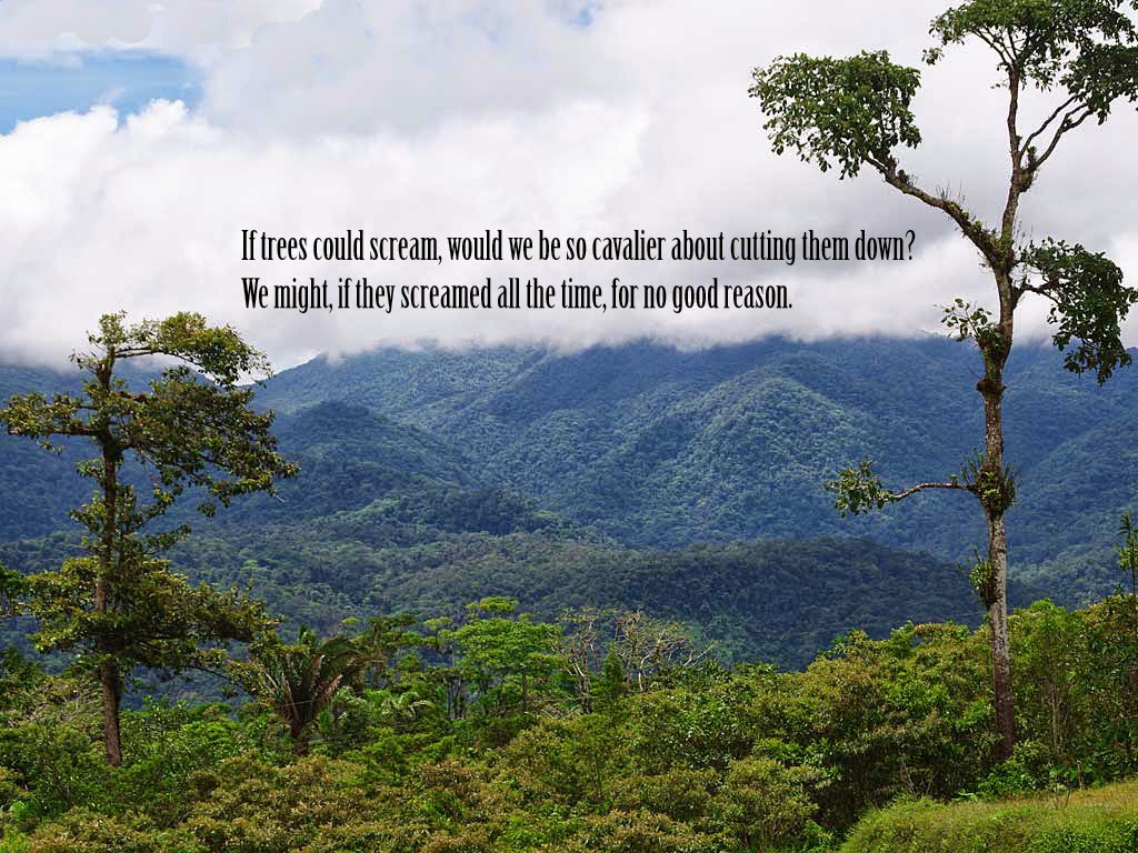 Nature Quotes