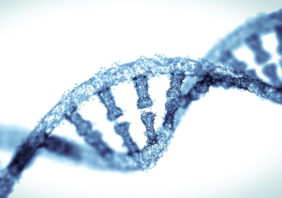 WHAT EFFECTS DO NEGATIVE IONS EXERT ON LIVE DISEASES?