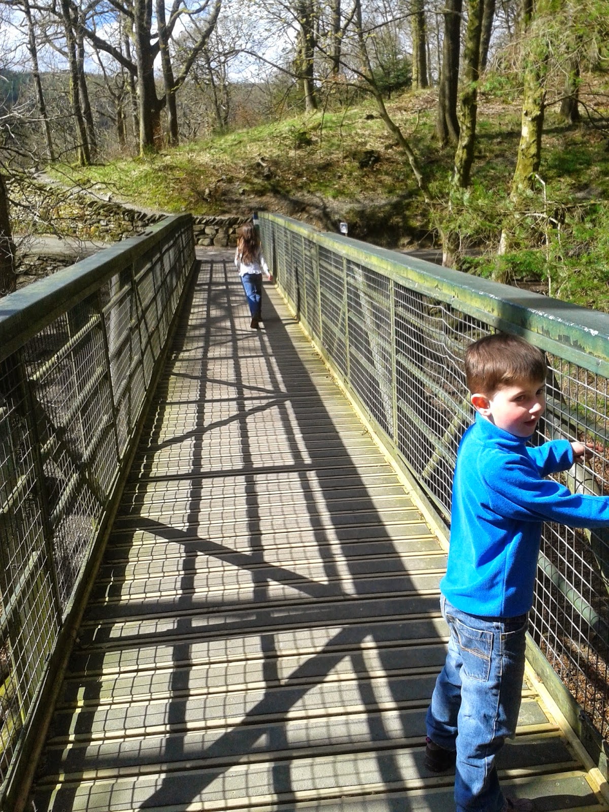 Grizedale Forest Gruffalo trail, nope not on the bridge. 