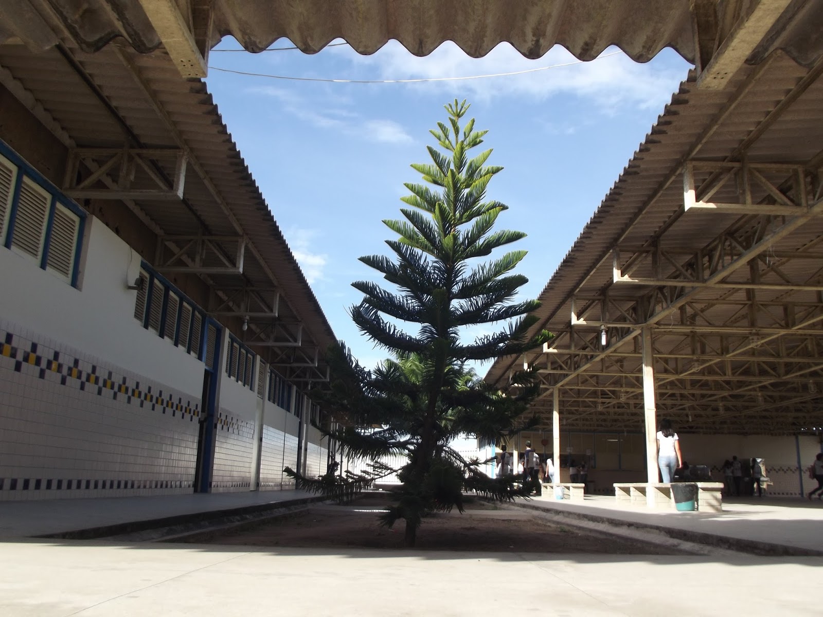 ESCOLA ESTADUAL SENADOR RUI PALMEIRA