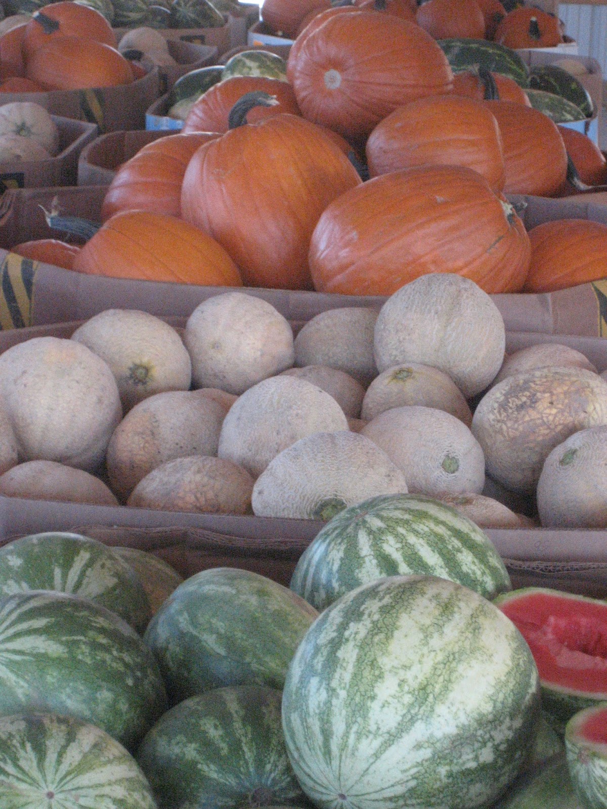 Owl Creek Produce Auction Beautiful summer produce continues as fall items begin to appear at