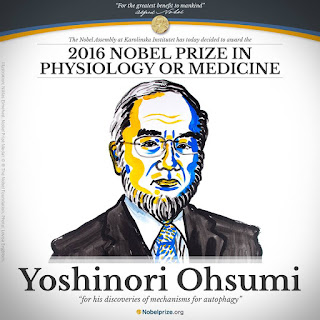  The Nobel Prize in Physiology or Medicine 2016