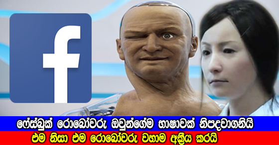 alice and bob robots