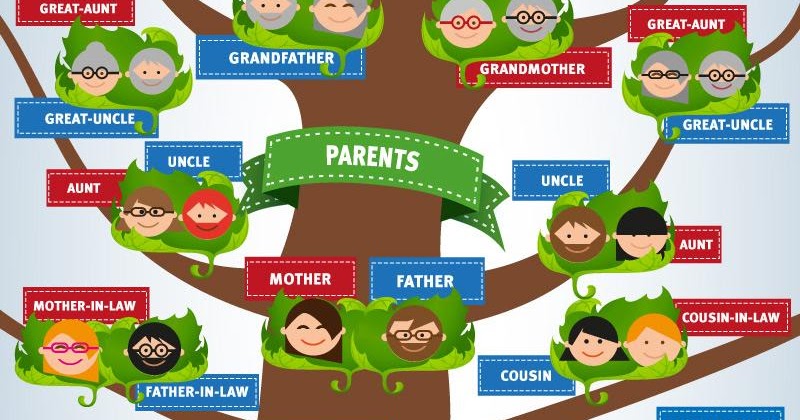 Family Tree شجرة العائلة Future Course