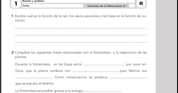 Colegio José Calderón: Actividades de refuerzo y ampliación ... Colegio José Calderón: Actividades de refuerzo y ampliación ...