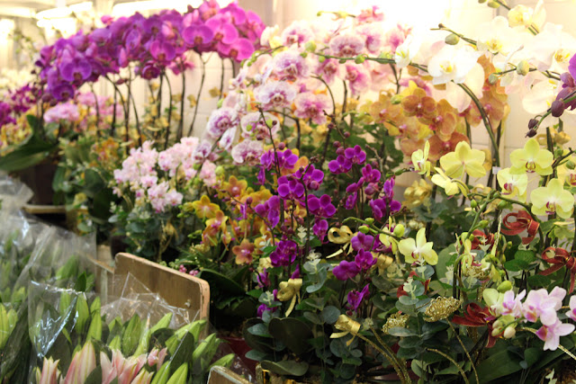 Flower Market, Hong Kong | travel blog