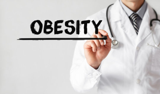 obesity ems obesity journal