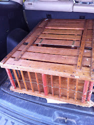 coffee table chicken coop