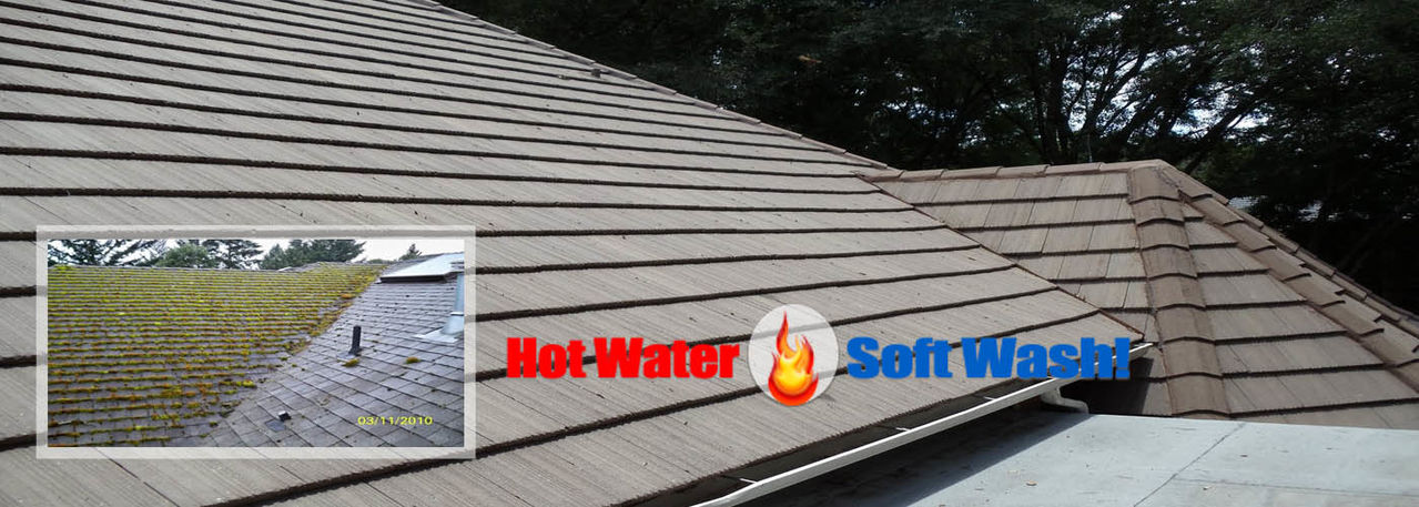 Roof Moss Removal Roof Cleaning Service in New Hampshire