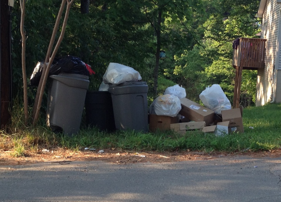 Woodridge New York...Spotlight On Litter