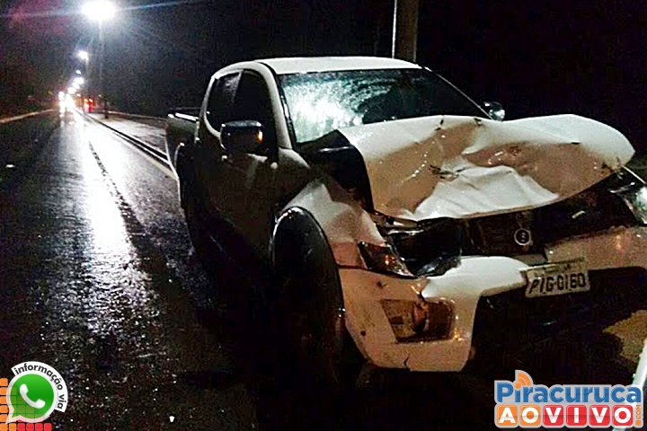 Caminhonete da Prefeitura de Buriti dos Lopes colide com animal - Imagem 1