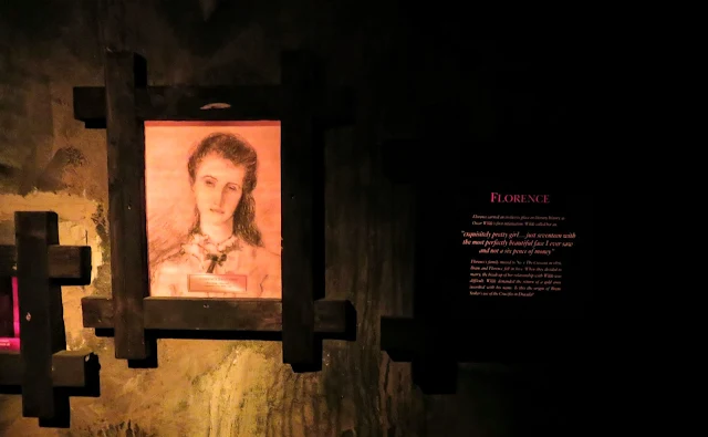 Castle Dracula Experience in Dublin - Bram Stoker Museum