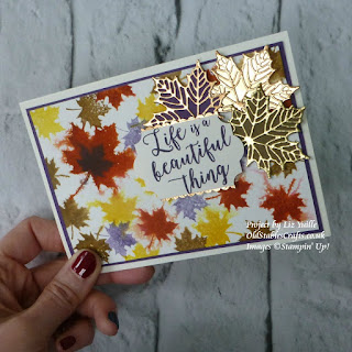 Colorful seasons stampin up card