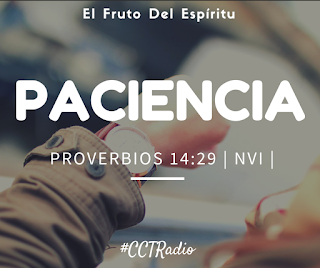 Resultado de imagen para proverbio no. 14