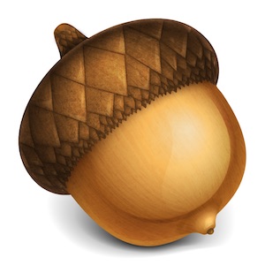 Acorn Acorn