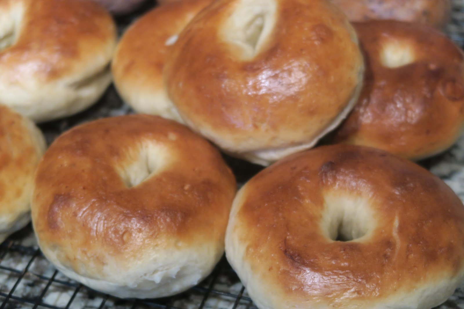 * Panera Bread Plain Bagels