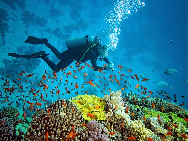 Best scuba diving destinations in India scuba diving in India