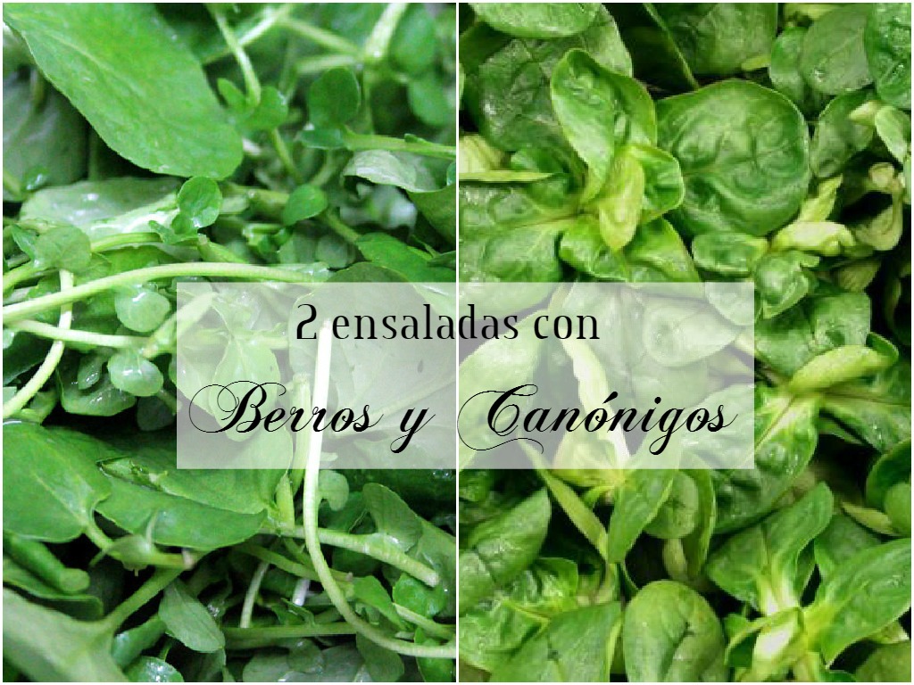 Rucula beneficios de y canonigos la