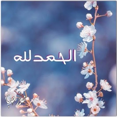 خلفيات حلوه للواتس خلفيات حلوه للواتس
