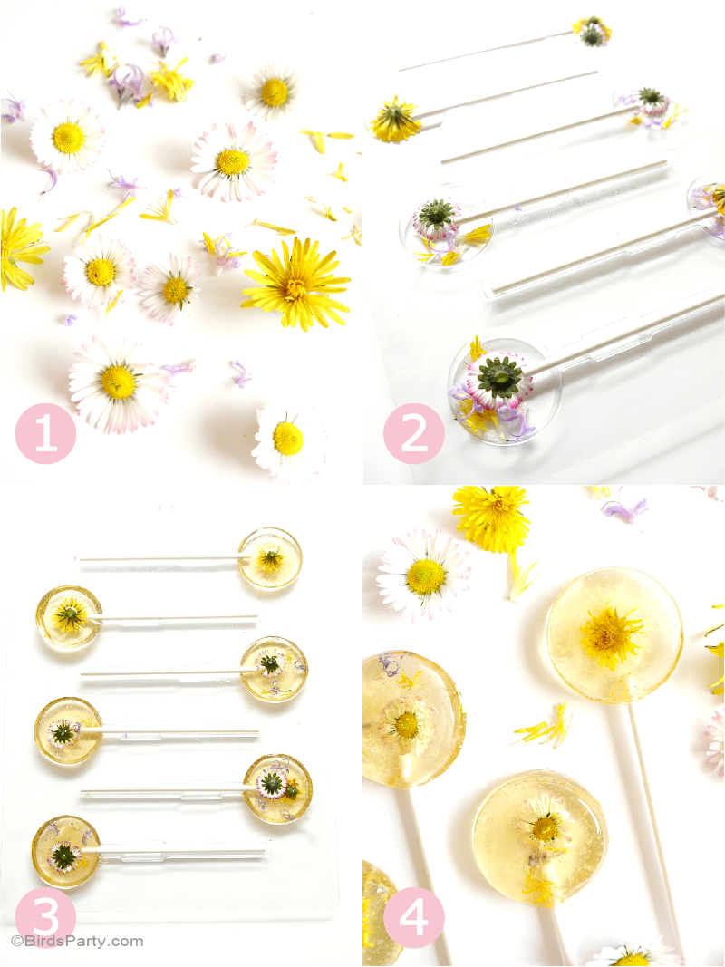 Honey & Lemon Floral Lollipops Recipe - BirdsParty.com