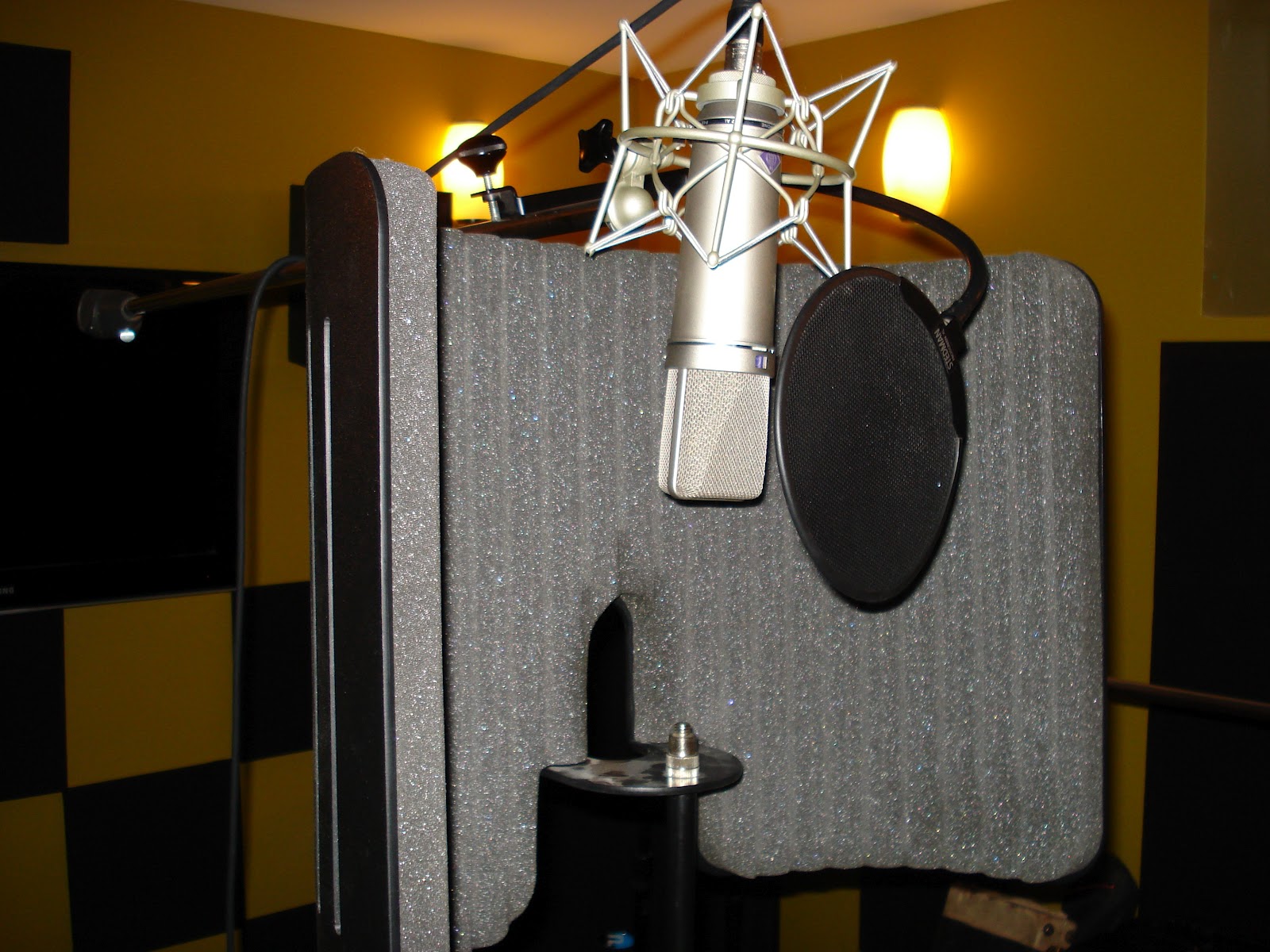 Morph Productions Primacoustic Voxguard Placement Solutions