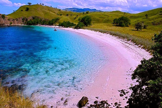 Pantai Pink, Pulau Komodo Pantai Pink, Pulau Komodo