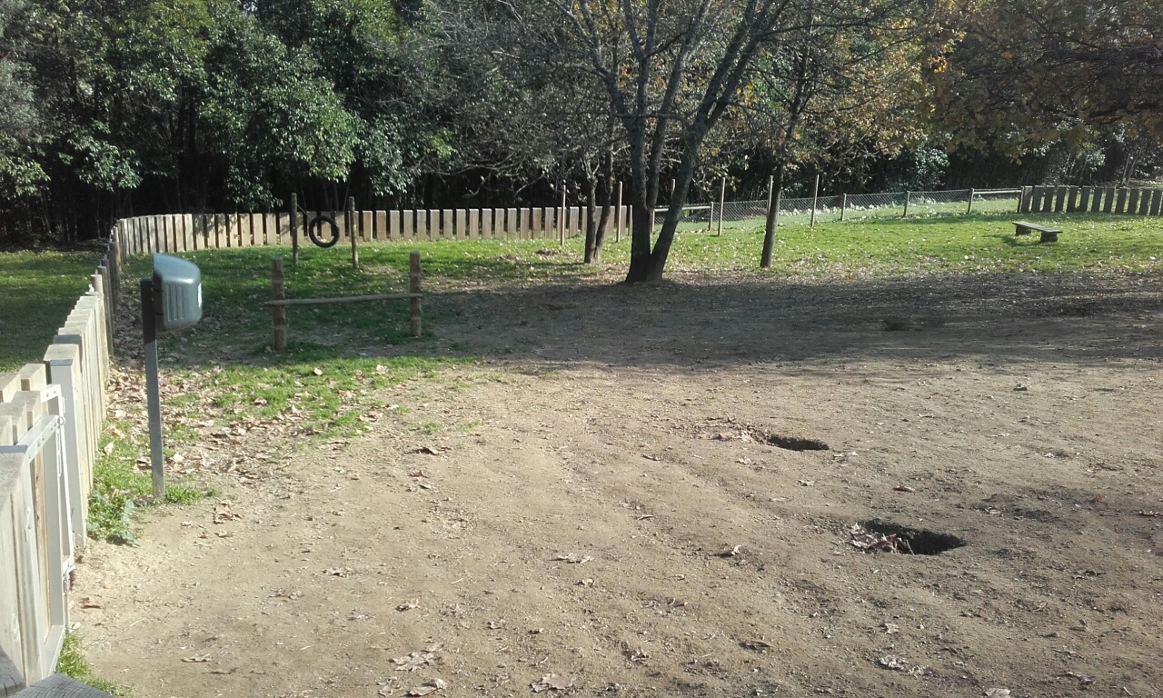 Zona de treino de cães