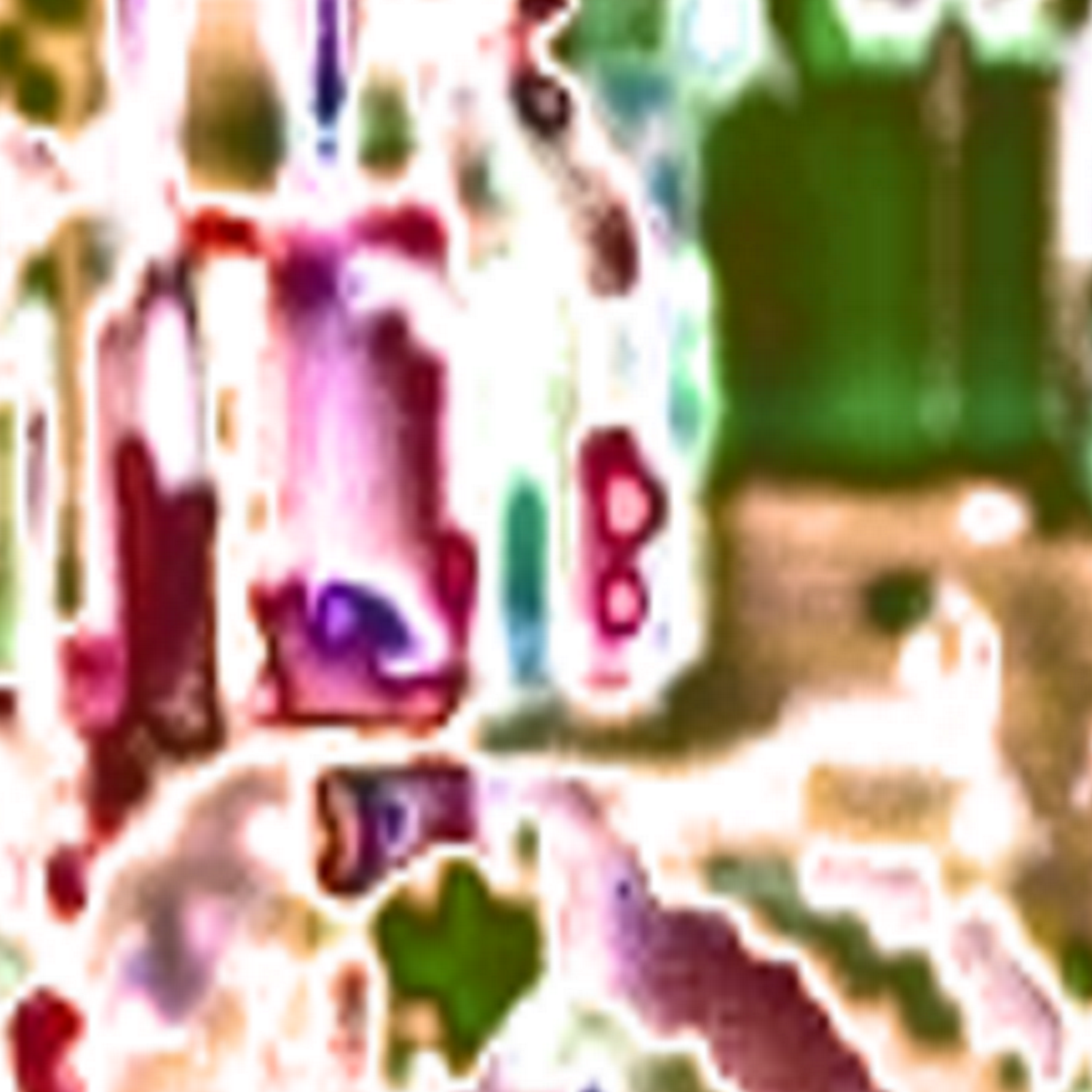 Nothing and Insight cilge cilge