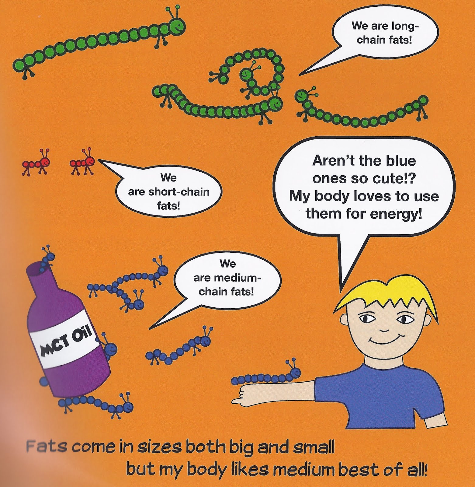 The Harry Family Blog: Did you know fat chains have different sizes ...