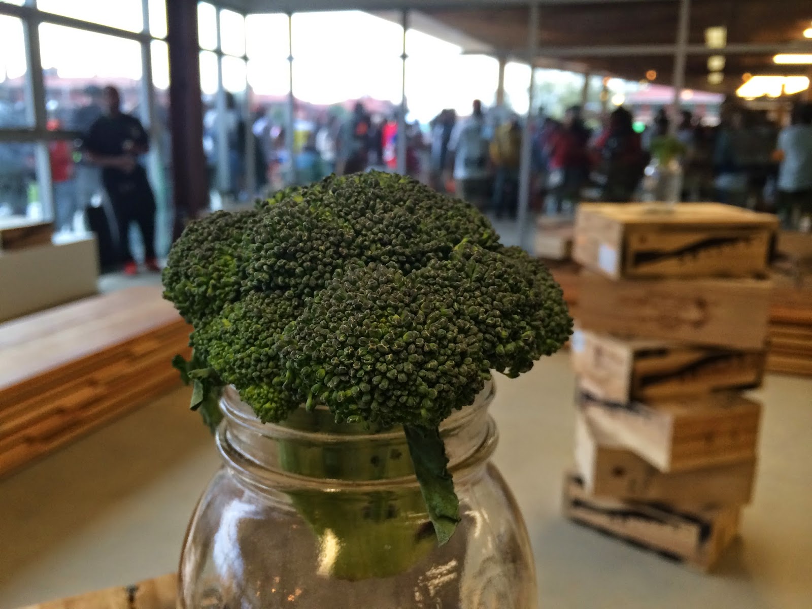 THE ART of WARd 8 Broccoli Fest Comes to Congress Heights