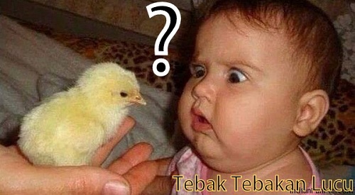 tebak tebakan lucu humor tebak tebakan lucu banget dan jawabannya